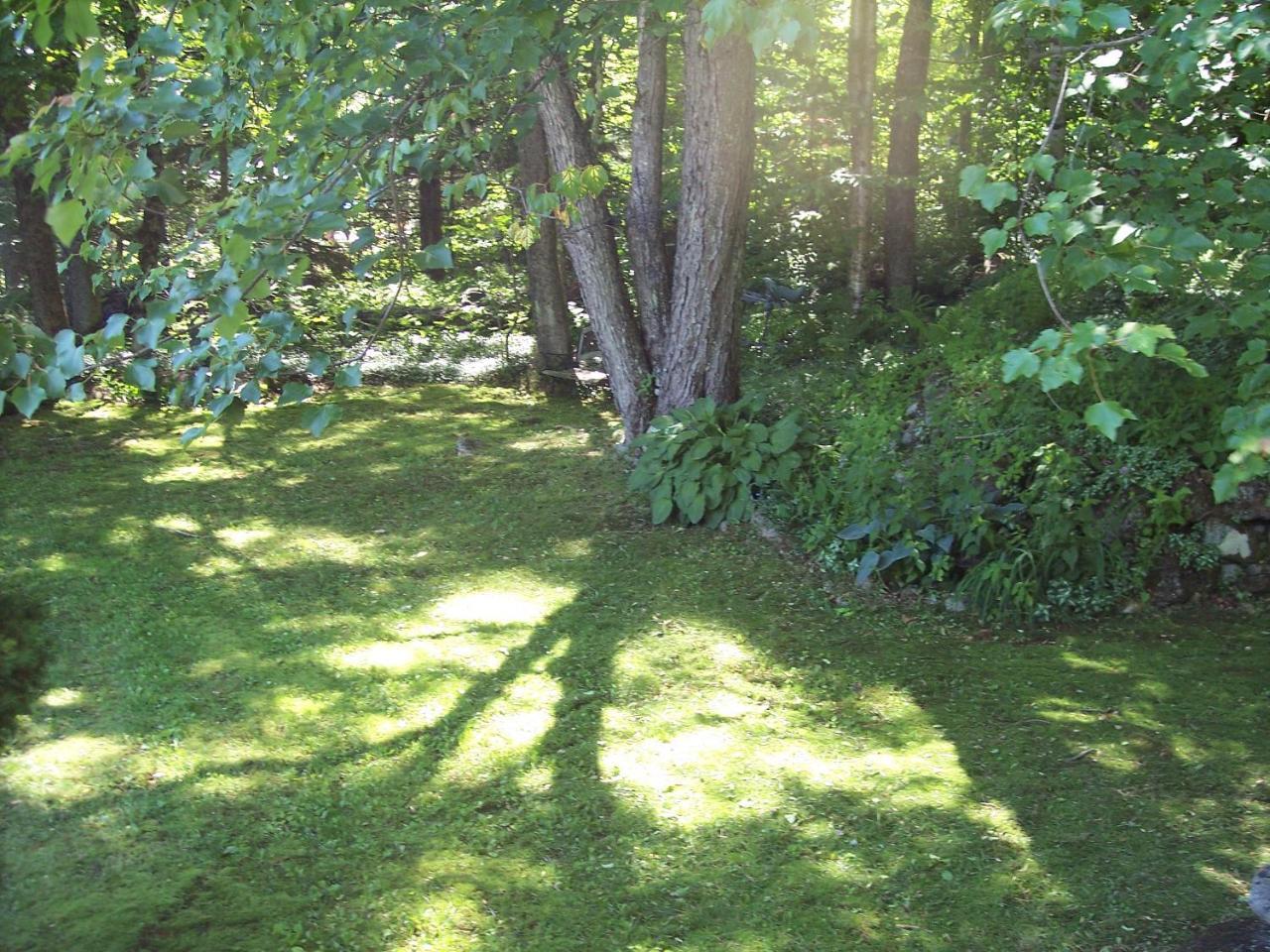 Hummingbird Hill Stoddard Exterior photo